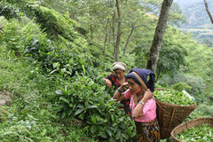 50 Teabags, organic & fair trade, Nepal